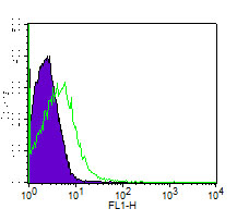 Rat IgG1 Isotype Control (Clone: HRPN)